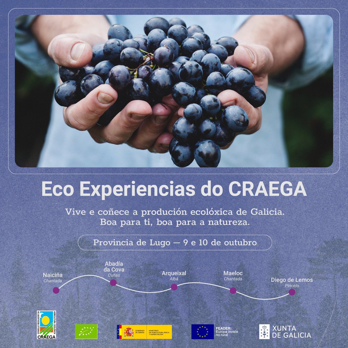 Este finde estaré en la zona de <a href="/ChantadaConcell/">Chantada Concello</a> en la #ecoexperienciacraega #ecoexperienciacraegalugo con <a href="/CRAEGA/">Craega</a> organizado por <a href="/slowcompostela/">Slow Food Compostela 🐌</a> . Allí coincidiré con <a href="/alvientooo/">Alberto Ribas</a> <a href="/BlogHedonista/">Blog Hedonista® by José María Toro</a> <a href="/Escapalandia/">Escapalandia</a> <a href="/Galicia_Mola/">Galicia Mola :)</a> <a href="/luciavelascoro2/">Lucia Velasco Rodriguez 🐂👩‍🌾</a> <a href="/Louloulopez/">Lourdes López</a> 

¡No os lo perdáis!