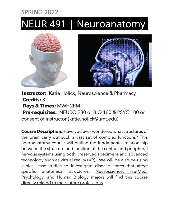 It's just about time to register for Spring 2022 at <a href="/umontana/">University of Montana</a>!   Announcing a new course offering in the Neuroscience program, Neuroanatomy (NEUR 491).  It will be offered MWF from 2-2:50.  It will be taught using fun tools like case studies and virtual reality. <a href="/UMontanaHumSci/">UMontana College of Humanities & Sciences</a>