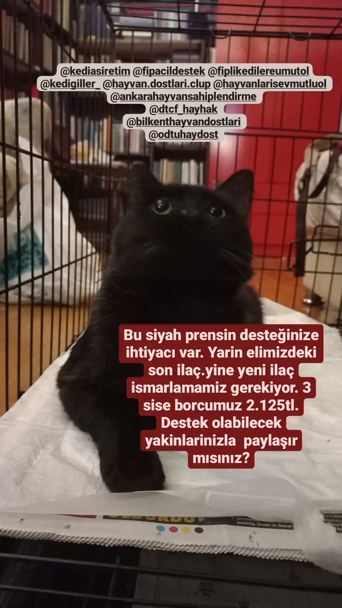 Cesur kilo aldı. İlaç dozumuz 2.8ml oldu😪yarin ilaç ismarlamamiz lazım bize destek olur musunuz?