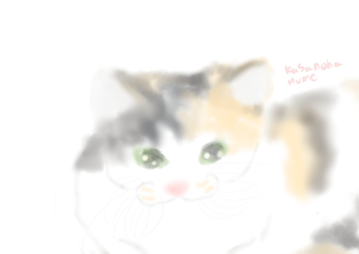 Twoucan 三毛猫 の注目ツイート イラスト マンガ