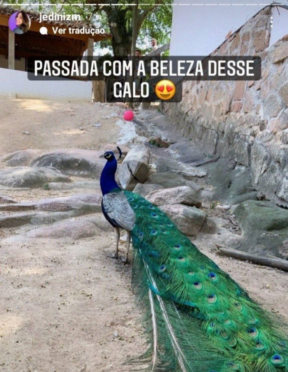 pessoas_errando's tweet photo. https://t.co/A51OoLKXWw
