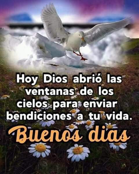 YdaRodriguez3's tweet photo. @sgargbe Buenos días amiga Soralem Bendecido día martes dios te  que tengas un excelente dia https://t.co/a1UFVQ4a7l
