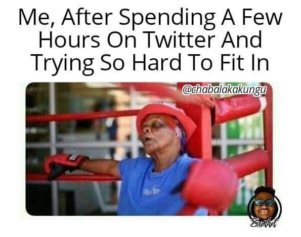 | 8732 | tweet media