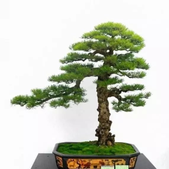 lyh61888 (@lyh61888) on Twitter photo 