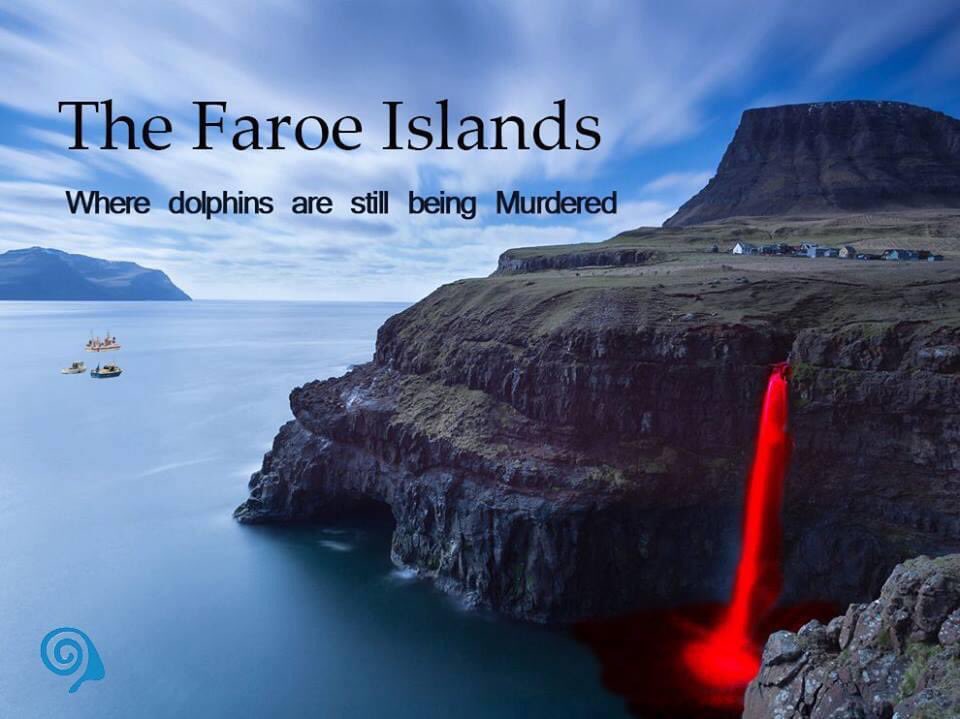 Don’t #VisitFaroeIslands

#BoycottFaroeIslands
#BoycottFaroeIslandsSalmon
#BoycottFaroeIslandsFish
#BoycottBakkafrost 📉
#BoycottHiddenfjord📉
#BoycottMarineHarvest📉
#BoycottMowi📉

#StopTheGrind