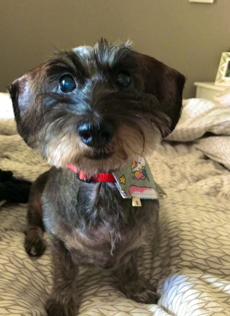 valcomanno's tweet image. ciau