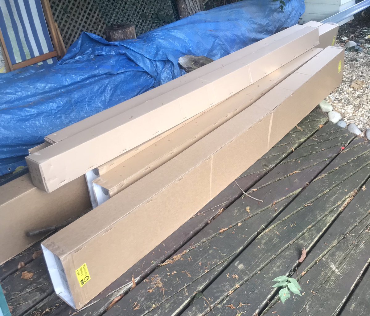 mygardentalkstome tweet media