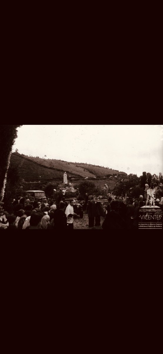 Madeira tempos passados tweet media