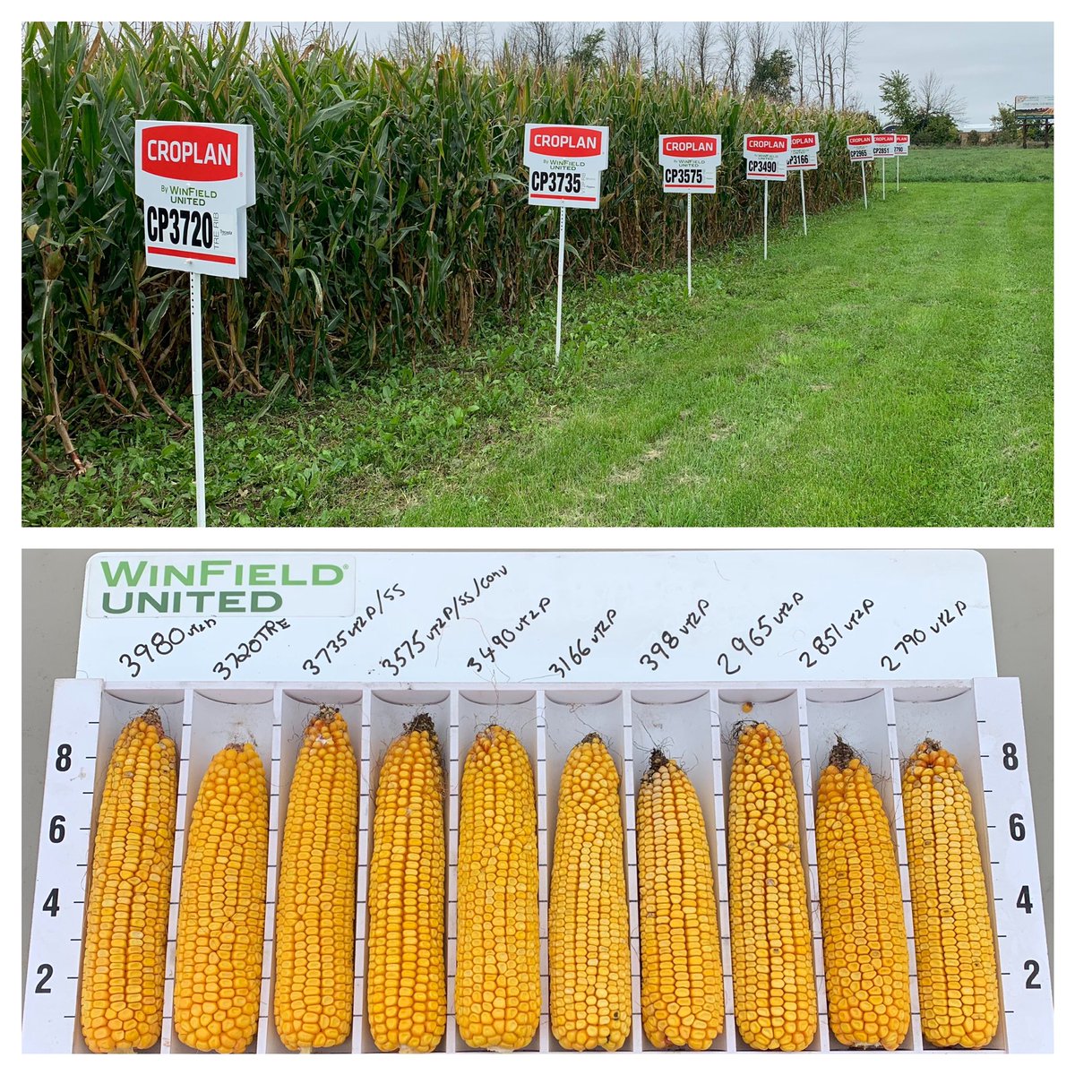 Ready to educate! Today we welcome <a href="/HarvexAg/">Harvex Agromart Inc.</a> &amp; #Summitseed at their Winchester demo site #GrowCROPLAN