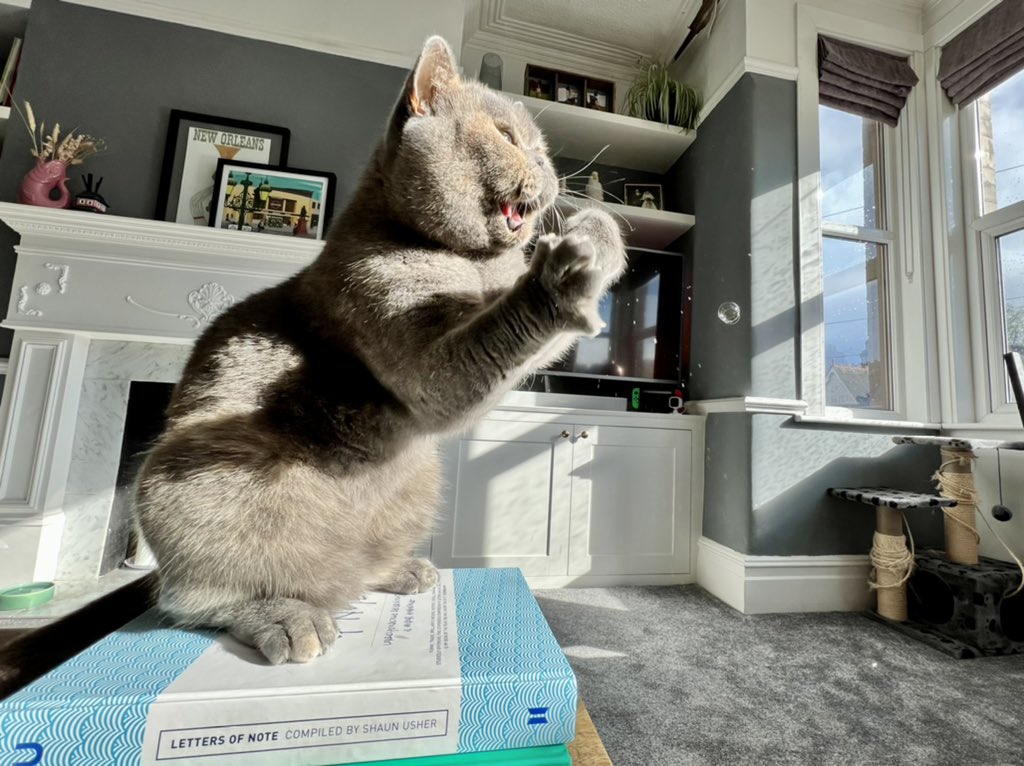 Rich Bearpark tweet media