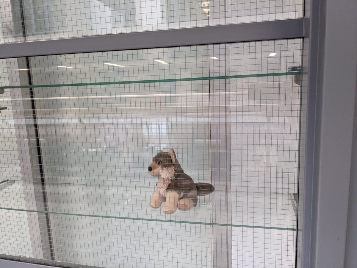 LibraryWCI's tweet image. Lupin is curious about what the next library display will be. What are your guesses? #BeWolves