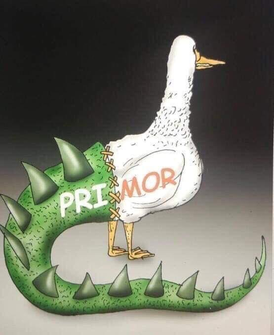periodistafrg's tweet photo. - Raro ...
. Los luchadores históricos de las izquierdas que combatieron al #priato ahora sus aliados ...
#GansoDino o #DinoGanso ... https://t.co/AgU8y4WQjn