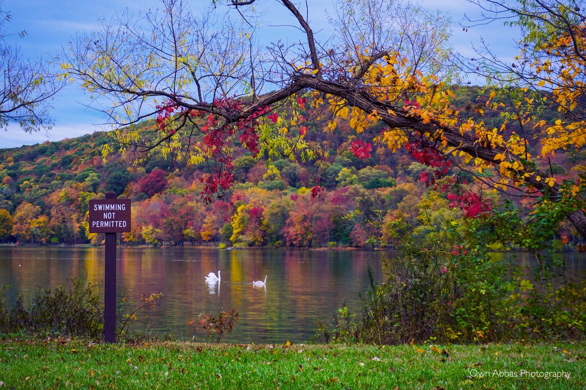 USAStudyHere's tweet photo. In addition to dazzling cities, New York has some of the most picturesque &amp; vibrant geography in the United States with lush forests, mountains, rivers and lakes, and hundreds of miles of ocean &amp; coastal beaches. You'll love living &amp; @studynewyork ❤️

#USAStudyDestination https://t.co/OftSS4bdXh