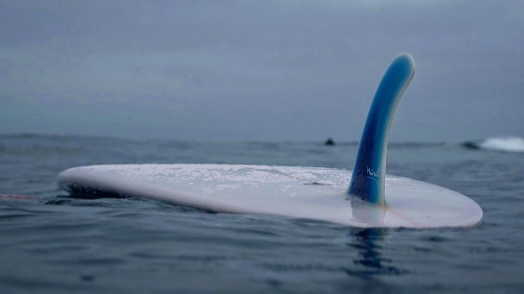 KapteinKai's tweet photo. Season 5 is coming in hot featuring Single Fins and Bonzers as well as 5 wetsuits. #theregularguy @WavescapeSA @spike_wavescape https://t.co/YHmeML8B7R