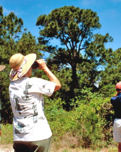 ACCByway's tweet photo. Grab your binoculars and get ready for the Alabama Coastal BirdFest.
#Blog #ALCoastalConnection #ACCbyway #ScenicByway #Byway #CoastalConnection #Bird #Birding #BirdWatching #Hike #Plan #AlabamaCoast #GulfCoast #TravelAlabama #ExploreAlabama #BirdFest https://t.co/AV76aH9XkX