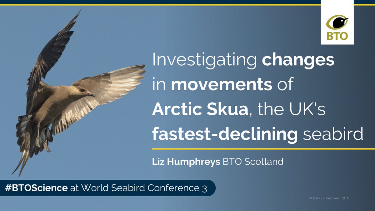 The Arctic Skua is the UK’s fastest-declining seabird, with  > 80% lost since 1986. At #WSC3 today, <a href="/BTO_Scotland/">BTO Scotland</a>’s Liz Humphreys <a href="/KittiwakeGirl/">Liz Humphreys</a> will present GPS data that show Arctic Skuas have begun to forage further from their breeding colonies #seabirds #BTOScience #TeamSkua