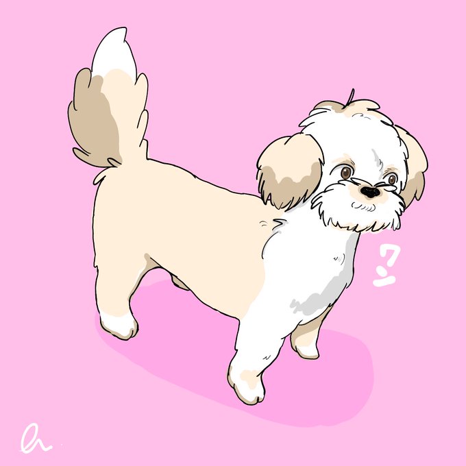 シーズーのtwitterイラスト検索結果