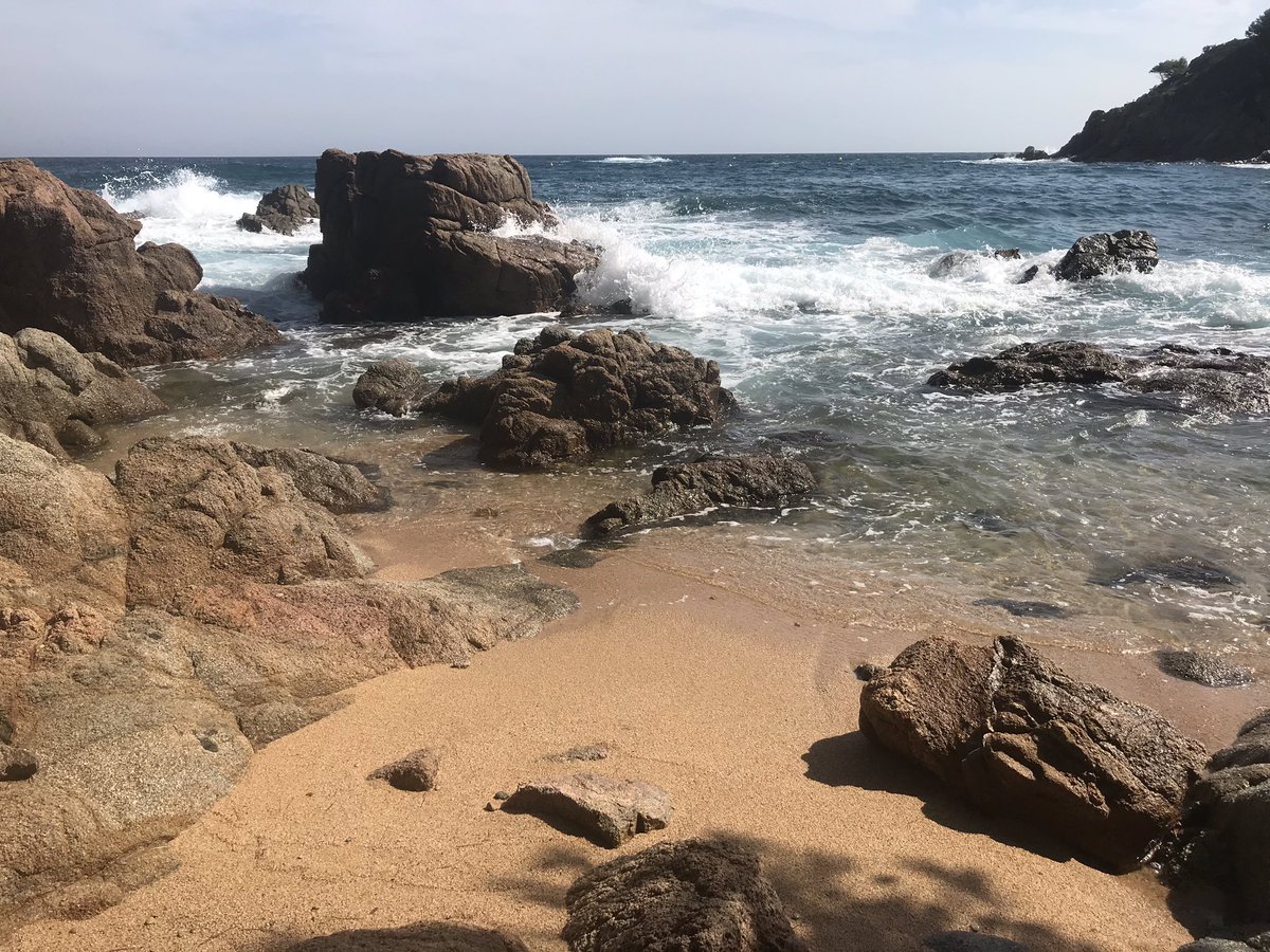 M_Rius_'s tweet photo. After an 8 year research journey with amazing students at @UoS_OES @OES_MBERG @NOCnews, I am really excited to announce that I’ve just started a research only position at @ceabcsic. Stay tuned for new opportunities &amp; get in touch if interested in developing your research here☀️🤿 https://t.co/UtsmEqxaNu