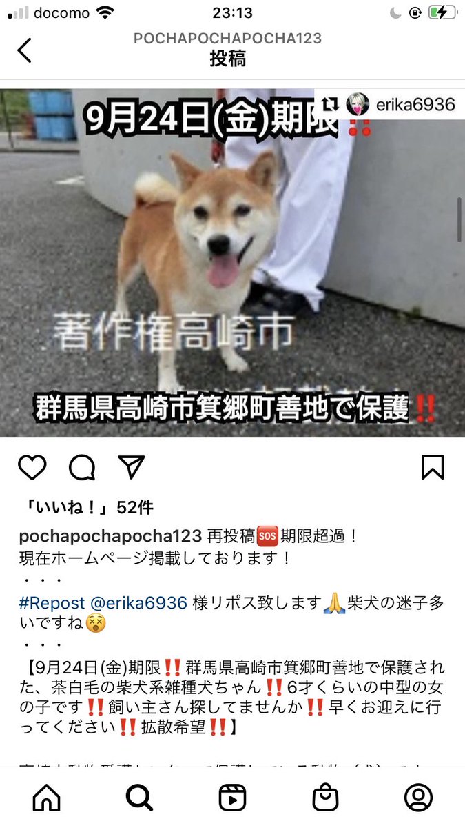 Top Tweets For 高崎市動物愛護センター Twstalker