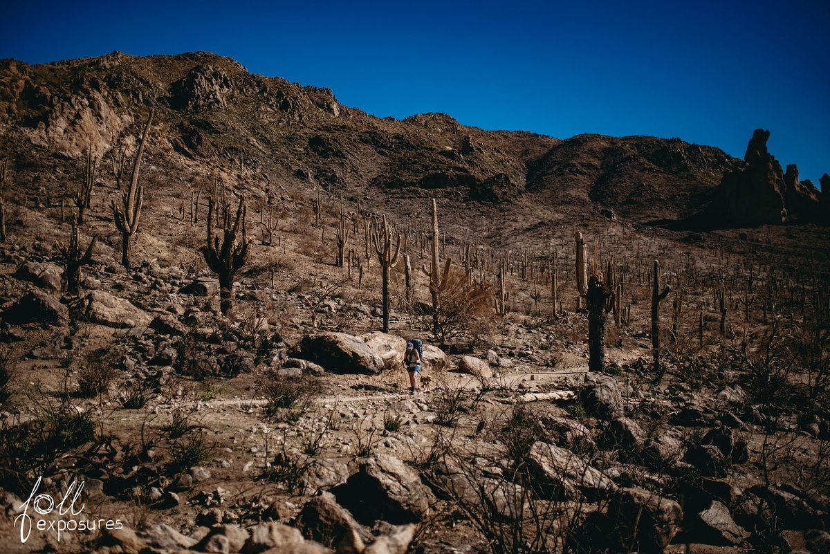AdventureProMag's tweet image. A backpacking trip through a burn scar on the Lost Dutchman Trail in the Superstition Mountains reveals unsuspecting beauty. 

Read More: bit.ly/3uHEEvf