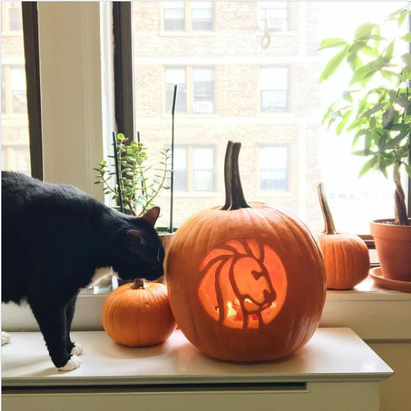 NYPLSNFL's tweet photo. I want to see your best #LibraryPumpkin๐ Need ideas? Check out our stencil: https://t.co/KLTOP70Bob https://t.co/Wggmqm1oYS