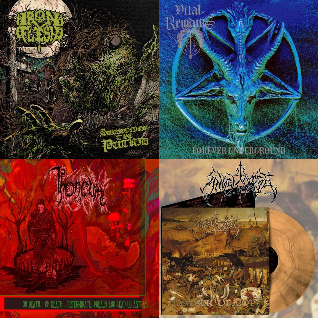 PaganRecords's tweet photo. Check out some of the latest album additions to our distro. View all the new arrivals via our webstore: https://t.co/hkfwNqh8zs
#VitalRemains #Vader #IronFlesh #Throneum #Angelcorpse #Gruzja #Ahretdev #Biesy #Besatt #Magnus #DarkenedNocturnSlaughtercult #Grieving https://t.co/97cenjZJ7A