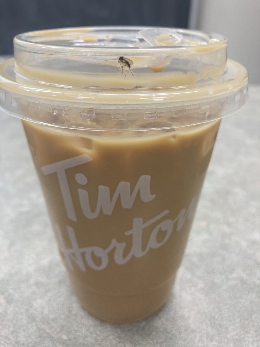 BEF_raw's tweet photo. @TimHortons Disgusting! Hygiene check is needed. Not the first time. https://t.co/mM456L0WC3