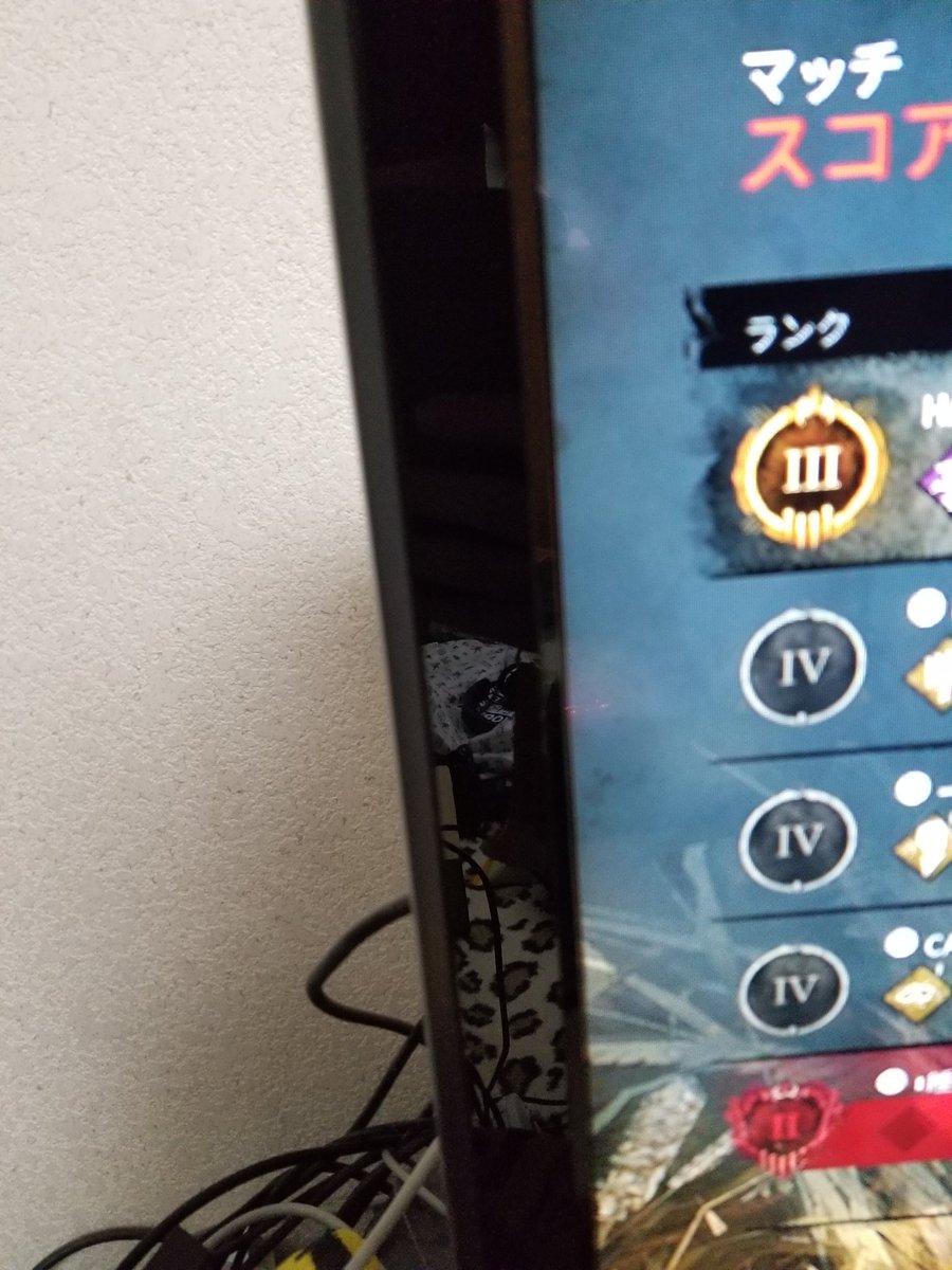 伯符っ子 Hakuhukko1 Twitter