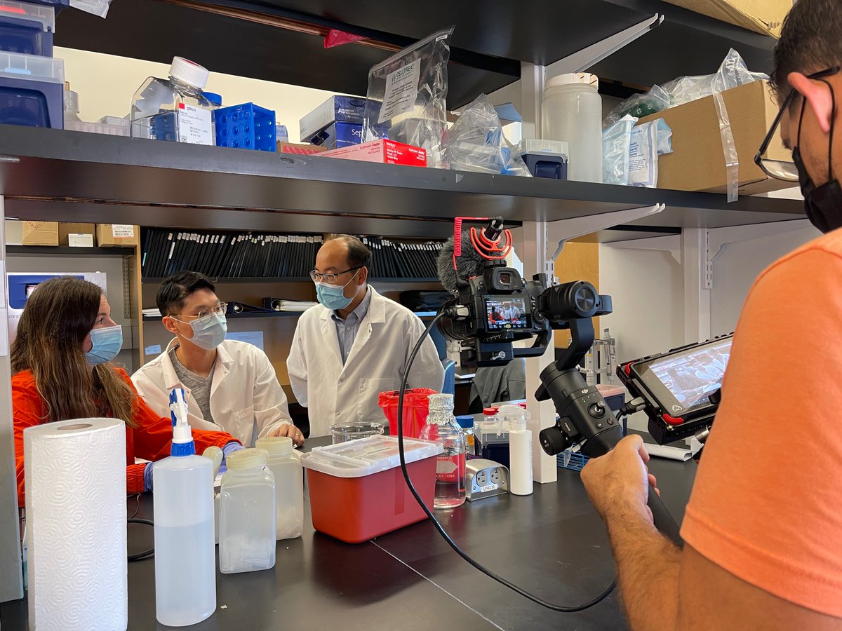 Cosmic Sauce tweet media