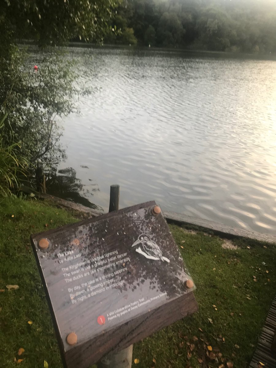 W_Collaborative's tweet photo. Wonderful to see the #children’s #poetry trail we helped to create in situ at #DecoyCountryPark this autumn! 🍂💛 @LouisaAdjoa @James__Chisholm @TDC_Leisure @caitlinmiller84 @Mairead1G @DecoyPri https://t.co/C7aBCtr5om