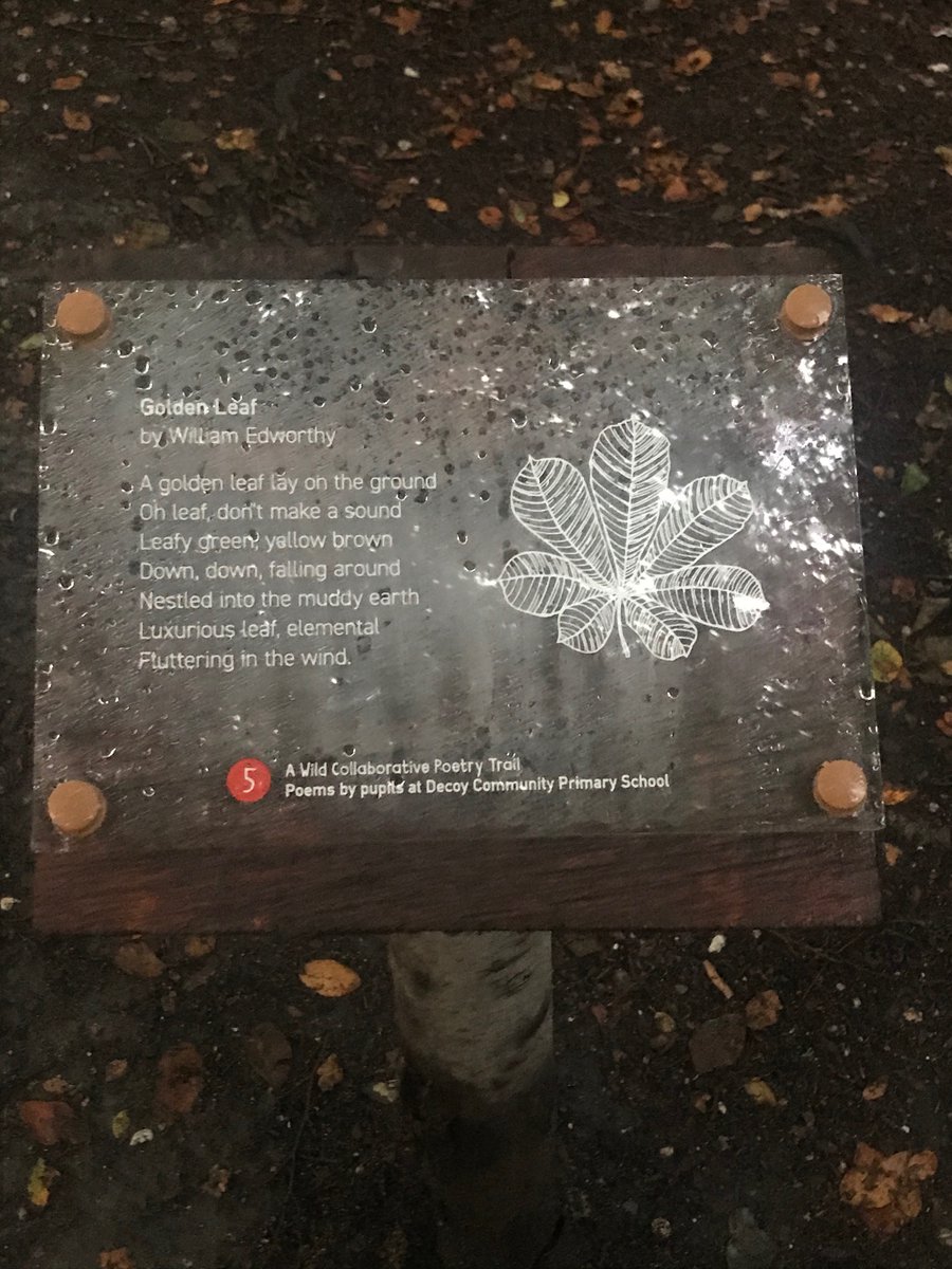 W_Collaborative's tweet photo. Wonderful to see the #children’s #poetry trail we helped to create in situ at #DecoyCountryPark this autumn! 🍂💛 @LouisaAdjoa @James__Chisholm @TDC_Leisure @caitlinmiller84 @Mairead1G @DecoyPri https://t.co/C7aBCtr5om