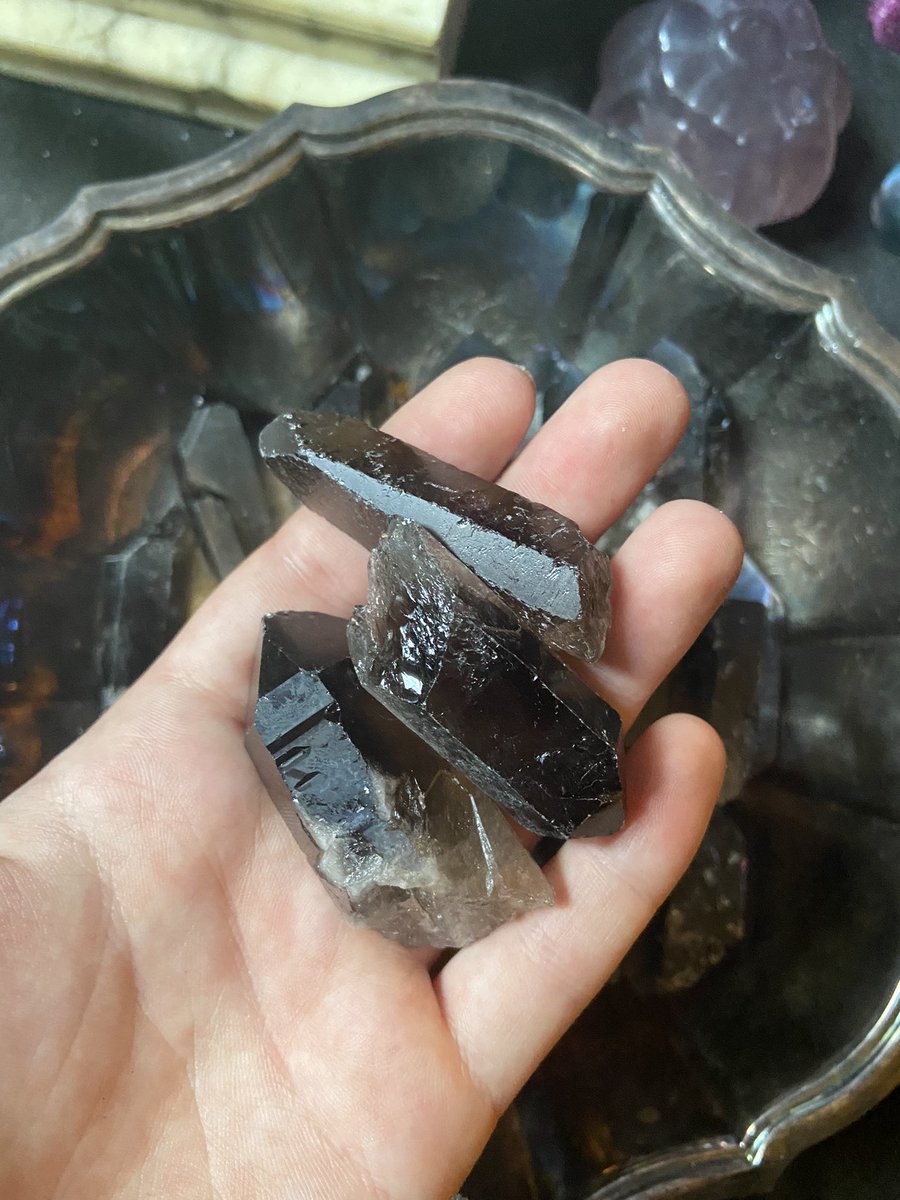 🕸 shipping day! — grab yourself a little treat 🐍