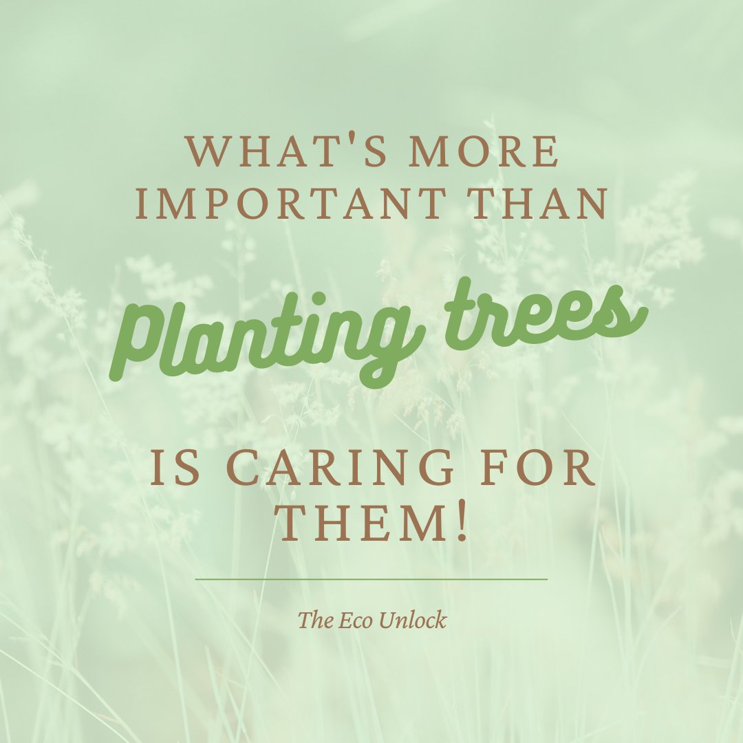 TheEcoUnlock's tweet photo. Little saplings are like babies and the way we humans must have guardians till we turn 18, Lets be guardians to just one plant in our locality and help it grow.
#environment
#Covid_19
#BeVegetarian #PandoraPapers #climatechange #ClimateAction #Farmers #Sustainability #Ecosystem https://t.co/P9soR1sm5I