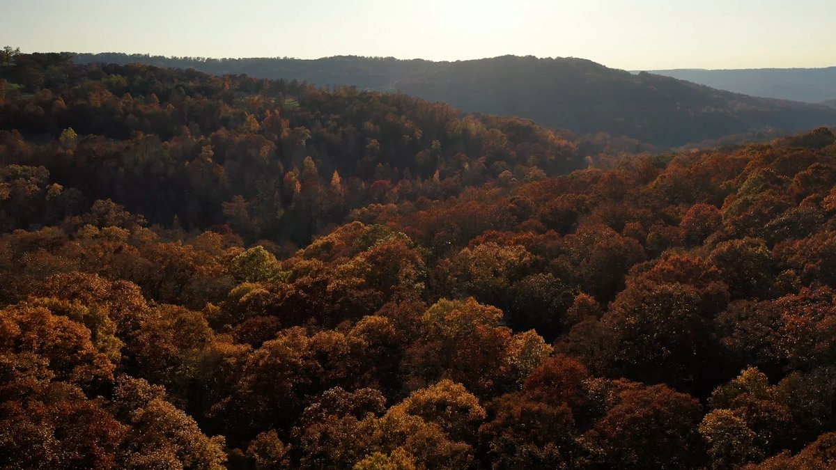 ArkansasTV_'s tweet photo. The air's getting crisper, pumpkins are popping up and fall color is just around the corner!
This view, captured near Artist Point, has us craving an autumn drive. What’s your favorite Natural State spot for fall scenery?
Tell us and watch #ExploringARFromAbove Nov. 29! https://t.co/wl4GAsCWTk