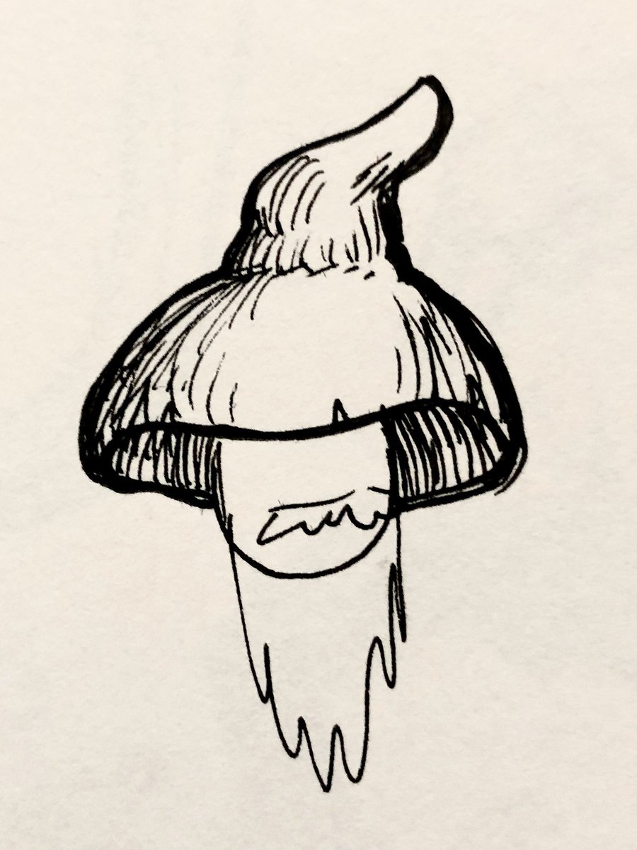 eelgut_'s tweet photo. Mushroom wizard hat ideas 🍄 https://t.co/YXEOncD0eJ