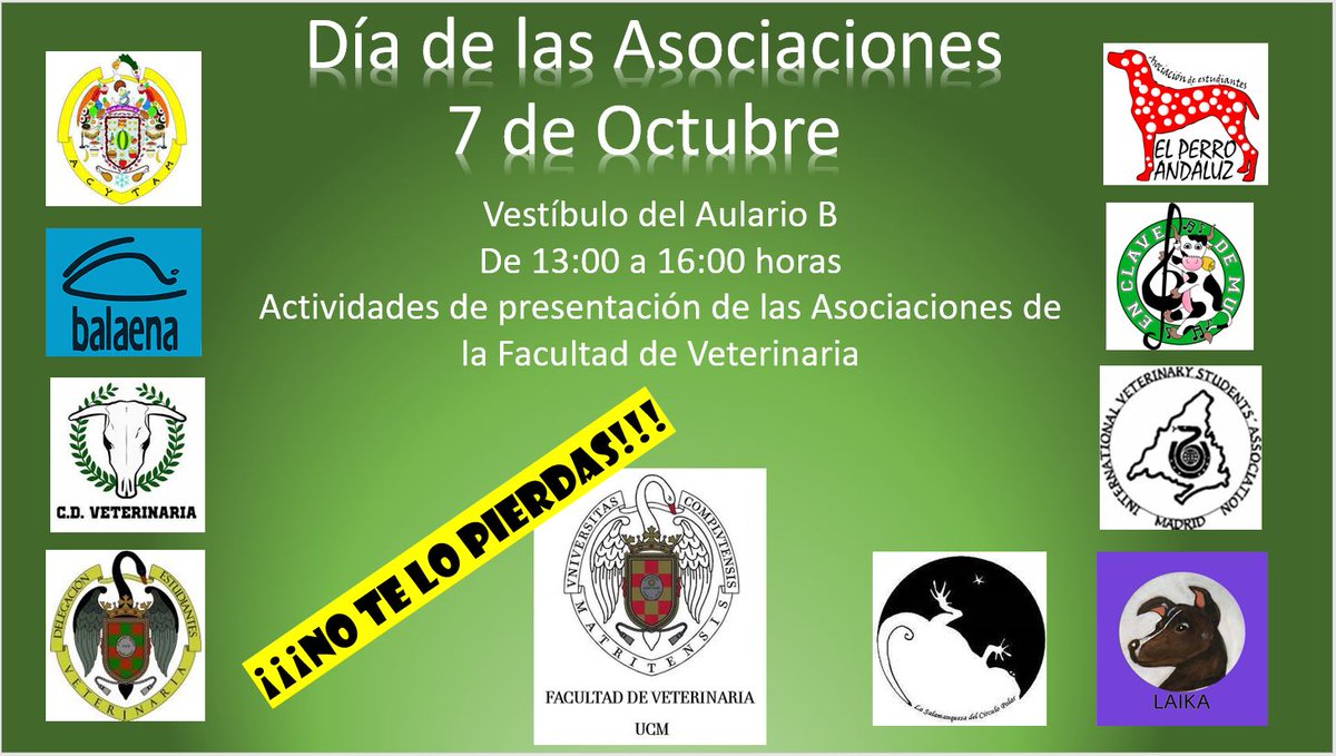 El 7 de Octubre vuelve el día de las asociaciones!!! Ven a vernos al aulario B ese día e infórmate de nuestras actividades. Te esperamos!!