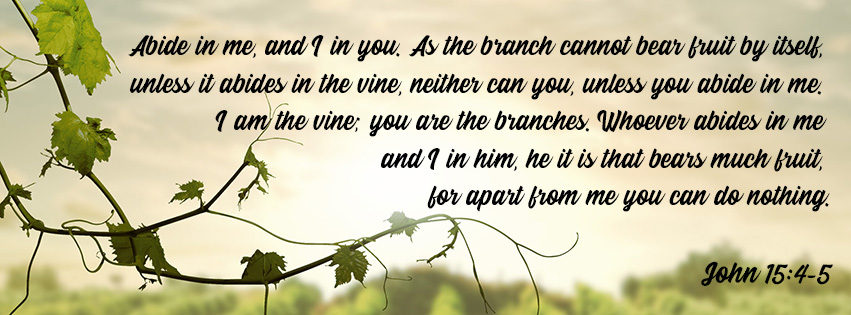 ShilohTerrace's tweet photo. The top priority in our lives should be to Abide in Jesus. https://t.co/Jfot36UeEt
