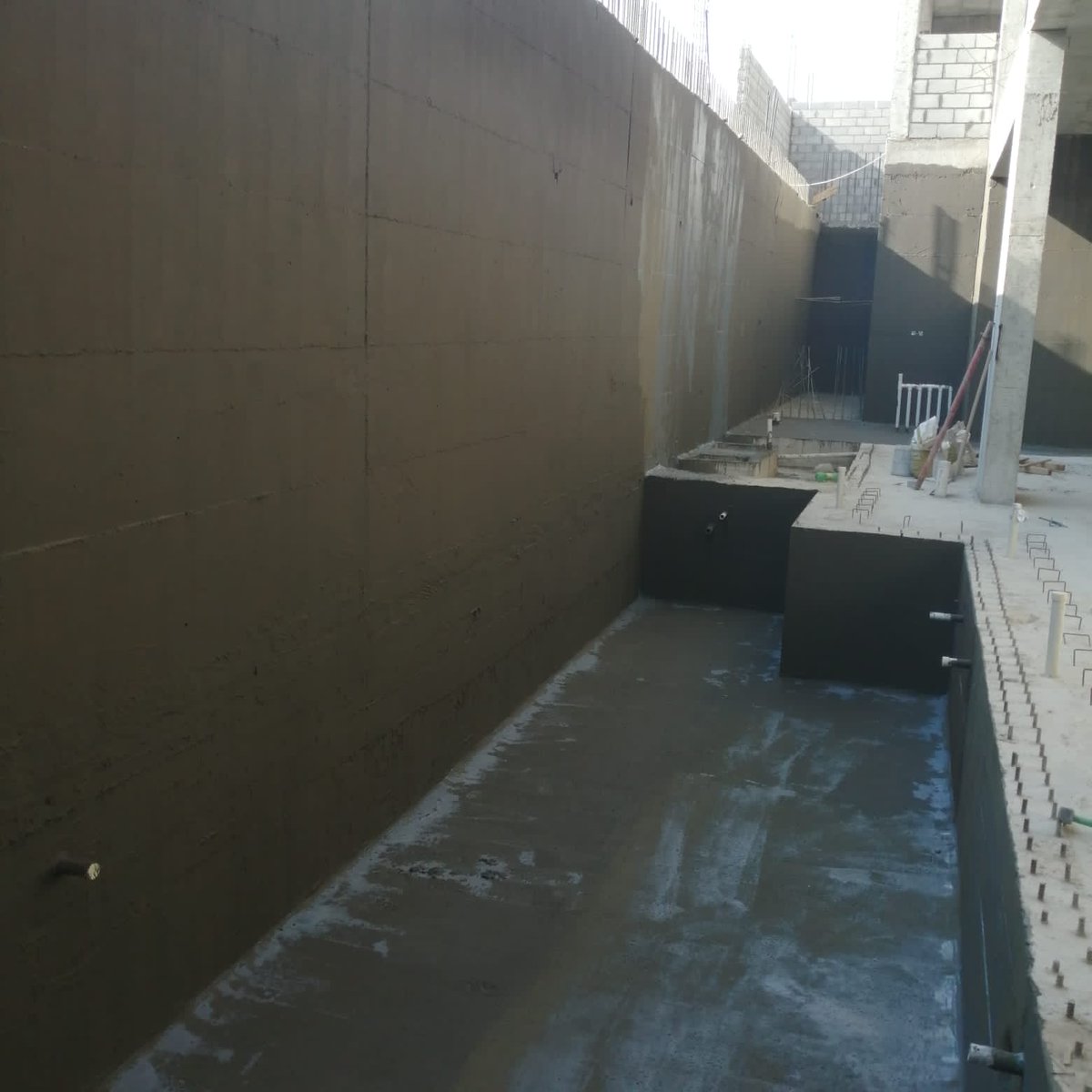 055isolate's tweet image. 