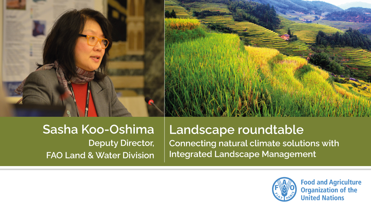 FAOLandWater's tweet photo. "Integrated approaches provide a framework for better understanding complex issues. FAO's work on Land Degradation Neutrality & Water Scarcity for Agriculture take into consideration the various priorities of sustainable production" @FAO LW Deputy Sasha Koo-Oshima @ #LandscapeRT https://t.co/4C0FpDQCo5