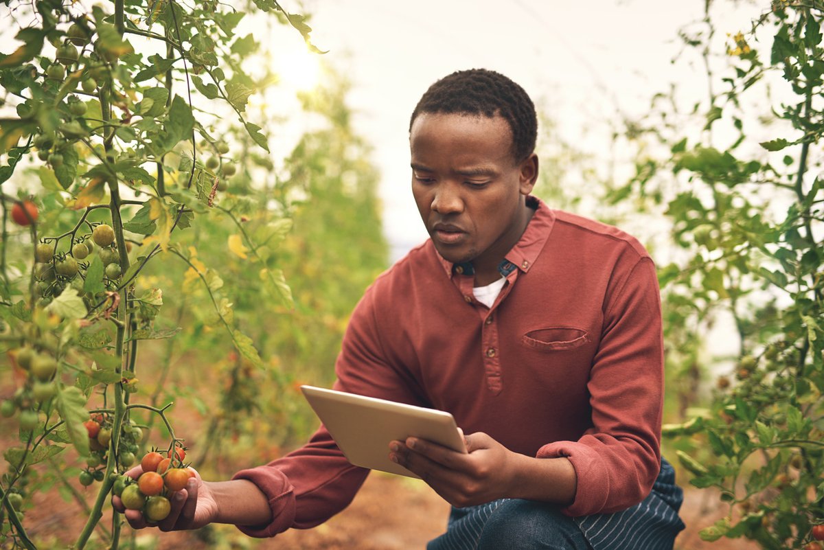 📣  <a href="/GCAdaptation/">Global Center on Adaptation</a> et @AFDB_Group ont une grande opportunité pour les jeunes entrepreneurs africains avec des idées innovantes sur l'adaptation et la résilience au climat.

✅ Posez votre candidature dès maintenant sur : gca.org/defi-des-solut…
📆 Date limite : 6 octobre 2021
