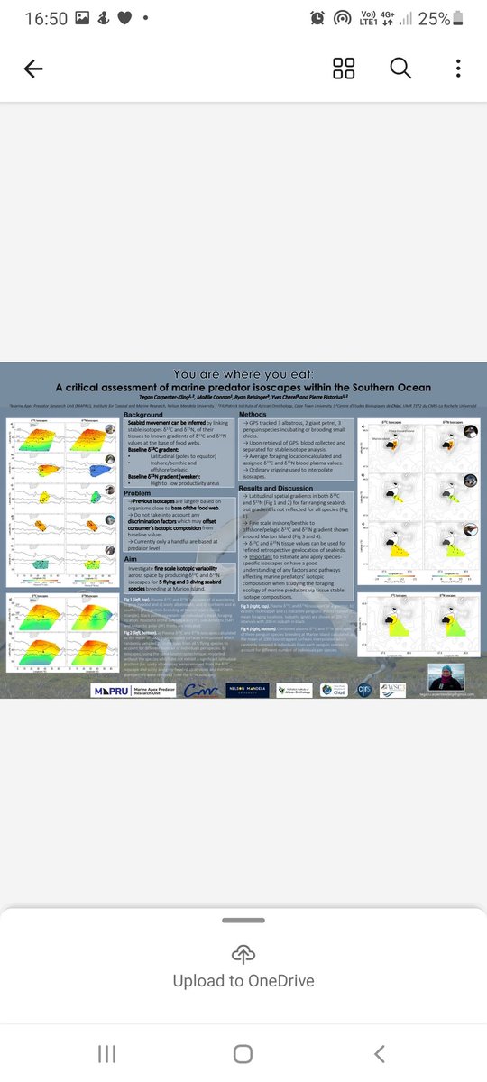 MAPRU (@mapru_nmmu) on Twitter photo You are what you eat... check out <a href="/TCarpenterKling/">Tegan CarpenterKling</a>'s poster at the #WSC3 assessing isoscapes of Marine top predators in the Southern Ocean
#MAPRU #NMU #albatross #petrels #NMU #CMR You are what you eat... check out <a href="/TCarpenterKling/">Tegan CarpenterKling</a>'s poster at the #WSC3 assessing isoscapes of Marine top predators in the Southern Ocean
#MAPRU #NMU #albatross #petrels #NMU #CMR