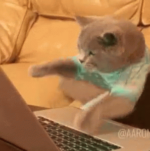 sanfrita's tweet photo. me watching squid game https://t.co/kfg8lfbHeE