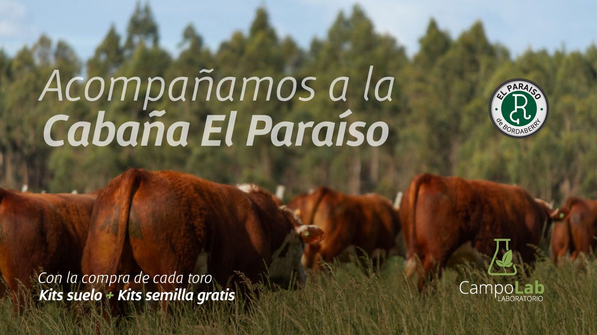 🐂 El viernes estaremos regalando Kits para aquellos compradores de Hereford en <a href="/ElparaisoSG/">Cabaña El Paraiso</a>  , los esperamos!