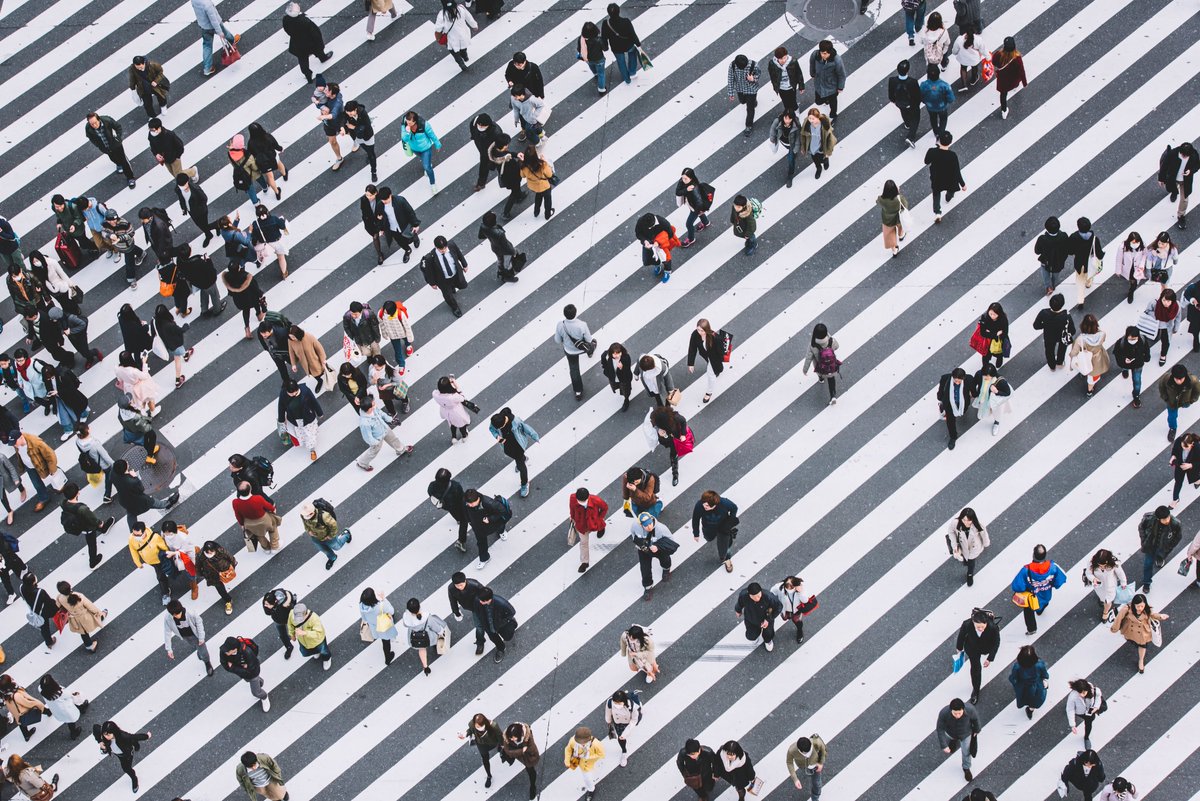 TropeReader's tweet image. Did you know the Trope photographer community is made up of 60+ emerging artists from all over the world? 🌎 From Chicago to London, Hong Kong and Tokyo, we represent dozens of independent photographers. Read more them at #linkinbio 📸 Vivien Liu