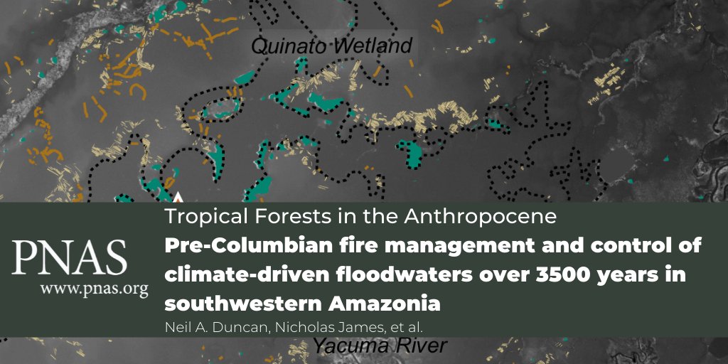 Jhonhwalker35's tweet image. Check out our paper in the @PNASNews Special Feature published today. Our article demonstrates that pre-Columbian people used hydrological engineering and fire to maximize aquatic and terrestrial resources beginning at least 3,500 years ago. Let’s discuss!
pnas.org/content/118/40…
