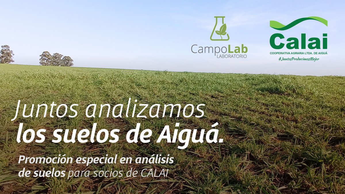 Una alianza en lo más alto del país. Juntos con Calai <a href="/CALAI1965/">CALAI</a>   🌱
#campouruguayo #aiguauruguay #suelouruguayo #campouruguay #floridauruguay