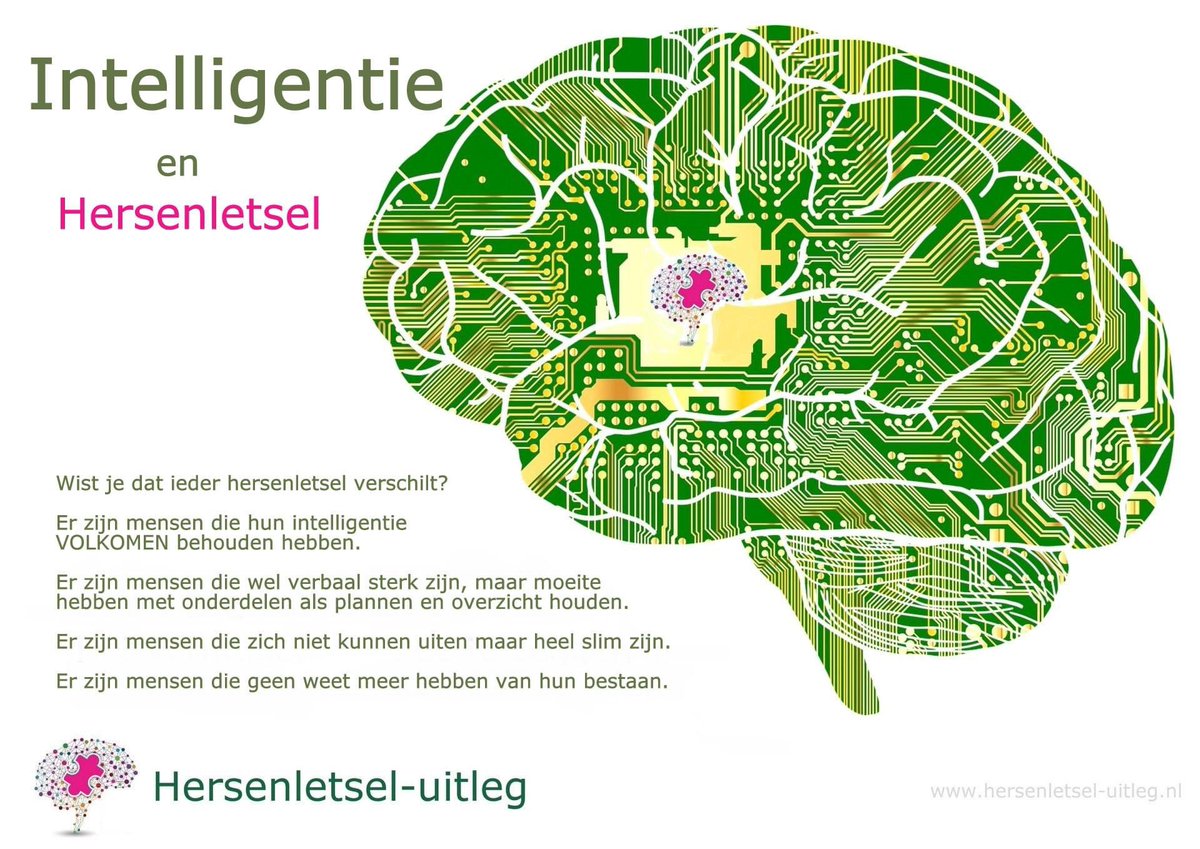 Ieder hersenletsel en ieder mens verschilt. 
Dat iemand hersenletsel heeft, zegt niets over intelligentie. De ene heeft volledig behouden intelligentie, de ander kan moeite hebben met deelgebieden.Daar kan men achter komen bv door een neuropsych. onderzoek
lnkd.in/e4nnDgr8
