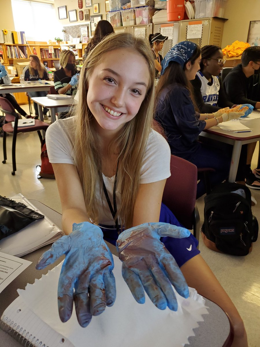 tanasholmes's tweet photo. How do you take off contaminated gloves? #WeRGR @WeAreGRHS @LamarCISDCTE @pinkpatterson https://t.co/yFdZt1rlIQ