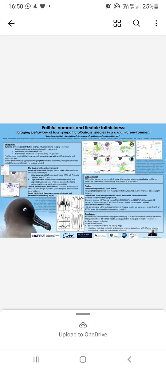MAPRU (@mapru_nmmu) on Twitter photo What are #albatrosses doing at-sea and how do they respond to environmental variability? Find out more at the #WSC3 poster session with <a href="/TCarpenterKling/">Tegan CarpenterKling</a>
#mapru #Marion #seabirds #CMR #NMU What are #albatrosses doing at-sea and how do they respond to environmental variability? Find out more at the #WSC3 poster session with <a href="/TCarpenterKling/">Tegan CarpenterKling</a>
#mapru #Marion #seabirds #CMR #NMU