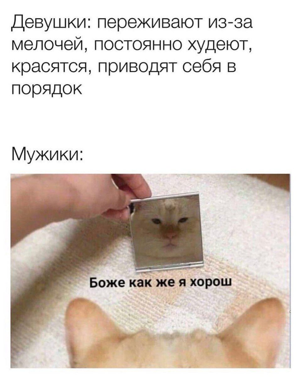 RussianMemesLtd's tweet photo. Girls: worry about little things, constantly lose weight, wear makeup and clean themselves up

Men:  
God, I'm so good https://t.co/8jjAoeXfNa